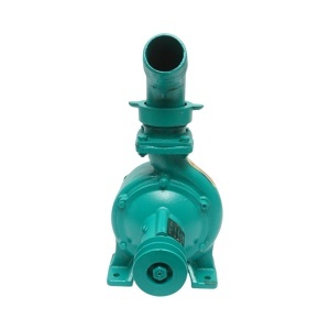 Pompa apa centrifuga cu rotor dublu 5.5kW, 2.5 toli, debit 35 m3/h, adancime aspiratie 9m, inaltime pompare 35m pentru irigatii, DISWK88 - Img 4