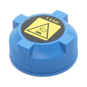 Buson vas expansiune Alfa Romeo, Fiat 30mm cod OEM 46742378, DISVN11