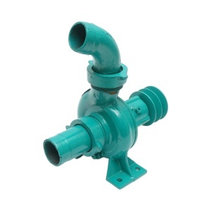 Pompa apa centrifuga cu fulie dubla 1.1kW, 2 toli, debit 12 m3/h, adancime aspiratie 9m, inaltime pompare 15m pentru irigatii, DISWK85 - Img 5