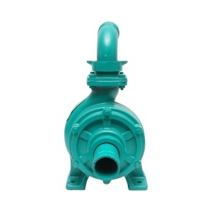Pompa apa centrifuga cu rotor dublu 4kW, 2 toli, debit 25 m3/h, adancime aspiratie 9m, inaltime pompare 40m pentru irigatii, DISWK87 - Img 6
