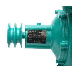 Pompa apa centrifuga cu rotor dublu 5.5kW, 2.5 toli, debit 35 m3/h, adancime aspiratie 9m, inaltime pompare 35m pentru irigatii, DISWK88 - Img 8