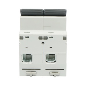 Siguranta automata intrerupator MCB 2P, 125A 415VAC, 6kA Longroad, BK79232 - Img 2