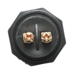 Buton pornire 12V/10A–24V/5A negru cu 2 pini universal, AUTOSPEED, DISRM45 - Img 4