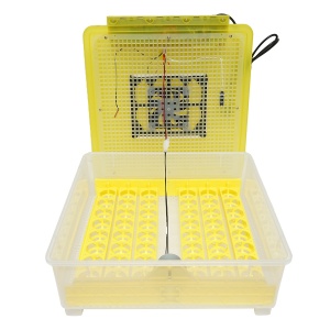 Incubator automat 48 oua EW-48, Cod: BK77835, Marca: BRECKNER GERMANY - Img 2