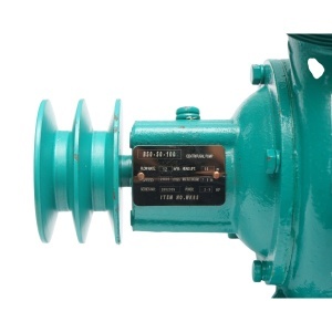 Pompa apa centrifuga cu fulie dubla 1.1kW, 2 toli, debit 12 m3/h, adancime aspiratie 9m, inaltime pompare 15m pentru irigatii, DISWK85 - Img 9