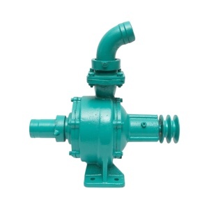 Pompa apa centrifuga cu rotor dublu 4kW, 2 toli, debit 25 m3/h, adancime aspiratie 9m, inaltime pompare 40m pentru irigatii, DISWK87 - Img 3
