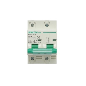 Siguranta automata tip intrerupator 2P, 100A 400V, 4.5kA Suntree, SUNTREE, BK79231