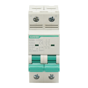 Separator, intrerupator de suprasarcina automat 2P, 125A, 550VDC, Cod: BK77759, Brand: SUNTREE - Img 1