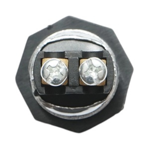 Buton pornire 12V/10A–24V/5A negru cu 2 pini universal, AUTOSPEED, DISRM40 - Img 5