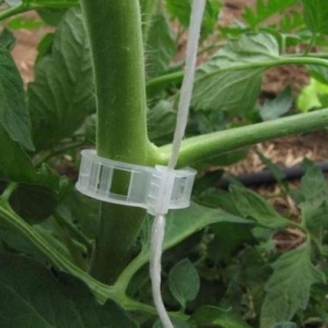 Clips palisare tomate 24mm, Cod: DISLT72 - Img 2