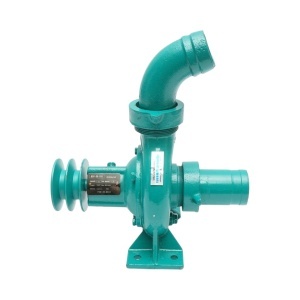 Pompa apa centrifuga cu fulie dubla 1.1kW, 2 toli, debit 12 m3/h, adancime aspiratie 9m, inaltime pompare 15m pentru irigatii, DISWK85 - Img 3
