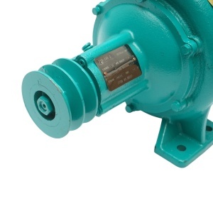 Pompa apa centrifuga cu rotor dublu 4kW, 2 toli, debit 25 m3/h, adancime aspiratie 9m, inaltime pompare 40m pentru irigatii, DISWK87 - Img 7