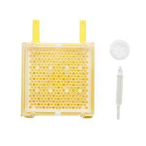 Set de crestere complet matci, Cod: DISKS80 - Img 2