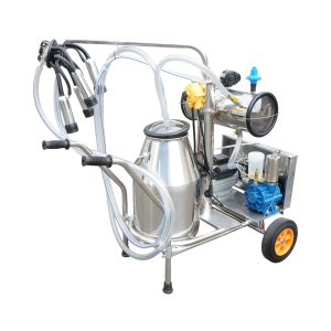 Aparat de muls vaci 1 post 750W, 220V bidon inox 25L, grup de muls cu 4 mansoane, presiune vid 40-50 kPa, pulsatii 60-80 cpm, Cod: DISPL04
