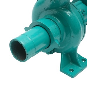 Pompa apa centrifuga cu fulie dubla 1.1kW, 2 toli, debit 12 m3/h, adancime aspiratie 9m, inaltime pompare 15m pentru irigatii, DISWK85 - Img 10