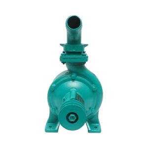 Pompa apa centrifuga cu rotor dublu 4kW, 2 toli, debit 25 m3/h, adancime aspiratie 9m, inaltime pompare 40m pentru irigatii, DISWK87 - Img 4