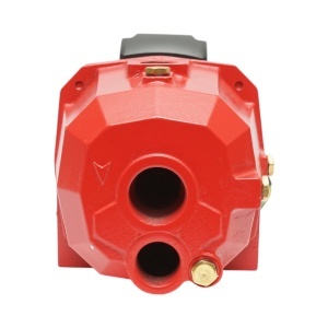 Pompa apa de suprafata autoamorsanta cu ejector 750W, 220V, H42m, debit 80 L/min DP255 , Cod: BK76247 , Breckner Germany - Img 7