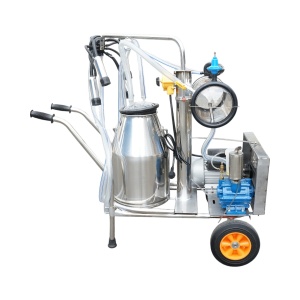 Aparat de muls vaci 1 post 750W, 220V bidon inox 25L, grup de muls cu 4 mansoane, presiune vid 40-50 kPa, pulsatii 60-80 cpm, Cod: DISPL04 - Img 2