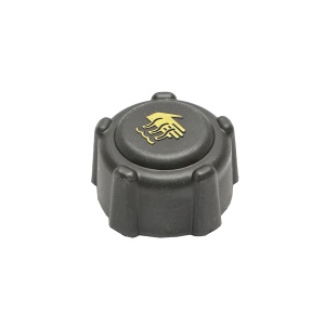 Buson/capac cu supapa presiune vas expansiune Dacia Papuc 1.9 Diesel, Super Nova, Solenza, Logan II, Dokker, Lodgy, Duster 8200048024, BK56101, BRECKNER GERMANY