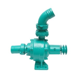 Pompa apa centrifuga cu rotor dublu 5.5kW, 2.5 toli, debit 35 m3/h, adancime aspiratie 9m, inaltime pompare 35m pentru irigatii, DISWK88 - Img 3