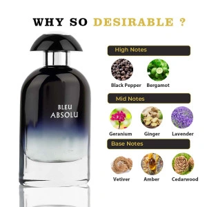 Парфюм Bleu Absolu Riiffs Eau de Parfum 100ml