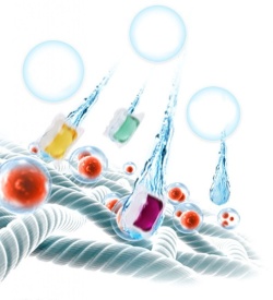 Капсули за пране 3 в 1 50 бр + 50 бр - ПРОМОЦИЯ