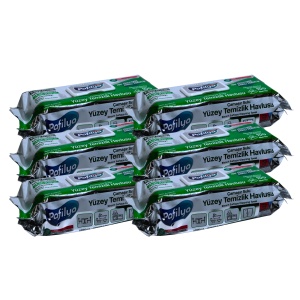Pachet Pafilya Power Bleach 6X – Șervețele Igienizare Suprafețe