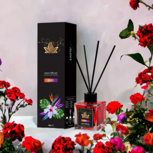 Pachet Promo: 10 Odorizant camera cu betisoare cu diferite aroma 100 ml, MOZAIC - Img 2