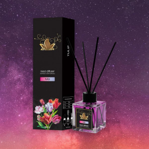 Pachet Promo: 10 Odorizant camera cu betisoare cu diferite aroma 100 ml, MOZAIC - Img 5
