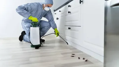 Cum să-ți faci singur dezinsecție în apartament sau casă: Ghid Complet