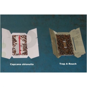 Capcana adeziva gandaci TRAP-A-ROACH, SET 5 BUC
