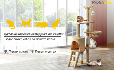 котешка катерушка детайли
