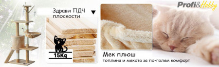 котешка катерушка ПДЧ и плюш
