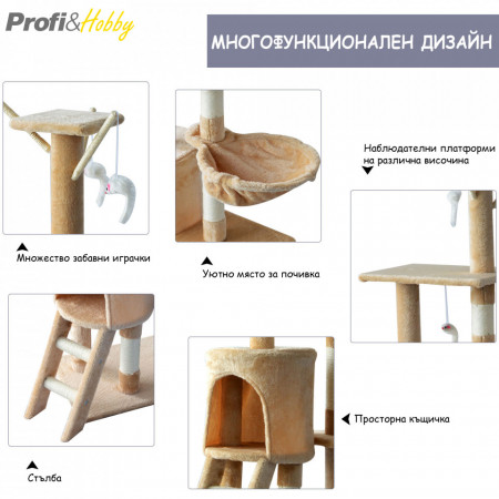 котешка катерушка възможности