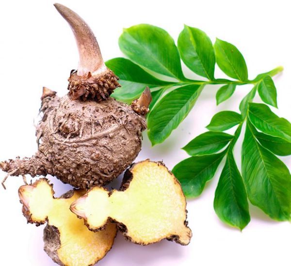 Făină de Konjac Paste Konjac