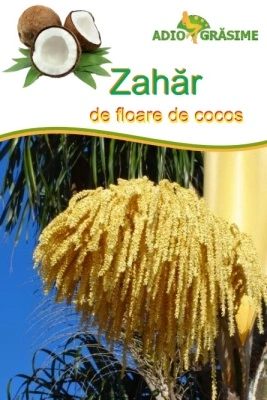 Zahar de floare de cocos (indulcitor natural de cocos) 500g