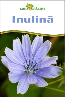 Inulina 500 g