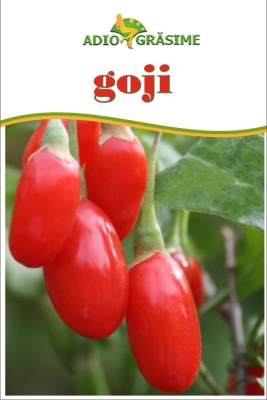 Fructe goji deshidratate 300g