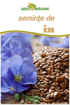 Seminte de in 600g