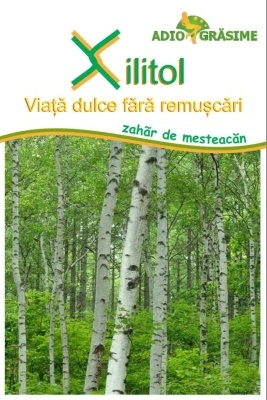 Xilitol - zahar de mesteacan ( Xylitol) 500g