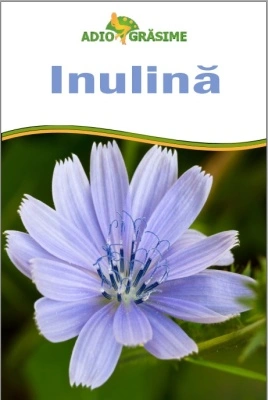 Inulina 1000g