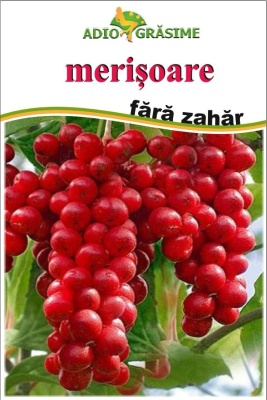 Merisoare fără zahăr 250g