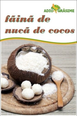 Faina de nuca de cocos AG 250g