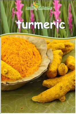 Pudra de Turmeric 150g