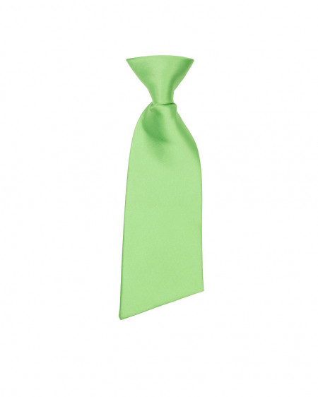 Kratka kravata na lastiš zelena 3KRG8GN171