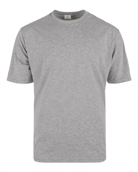 Muška majica klasik fit siva 2MC01161-GRM