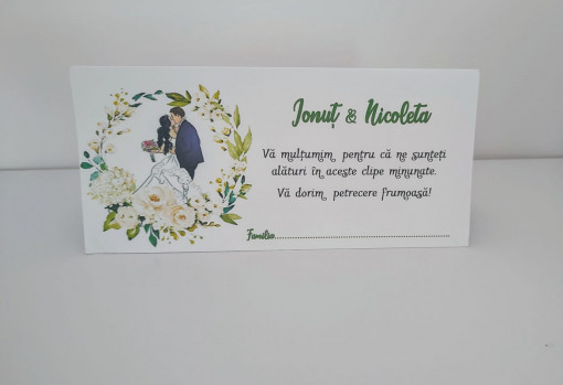 Plicuri pentru bani #5