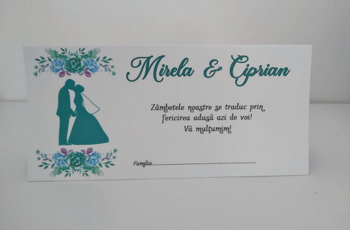 Plicuri pentru bani #8