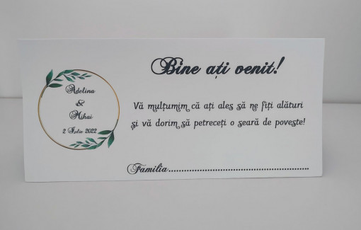 Plicuri pentru bani #10