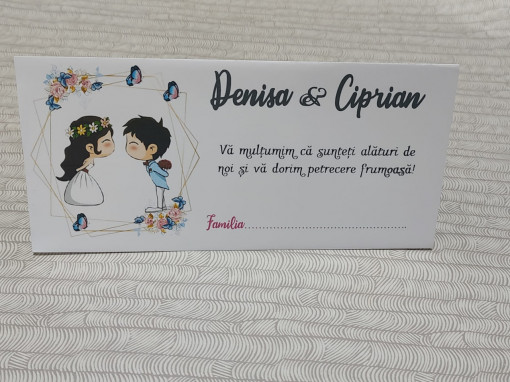 Plicuri pentru bani#2